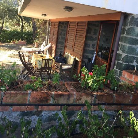 Apartmán Il Nido Della Gazza Monterosso al Mare Exteriér fotografie