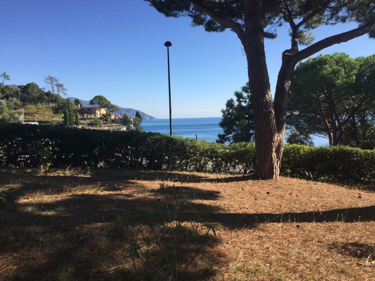 Apartmán Il Nido Della Gazza Monterosso al Mare Exteriér fotografie